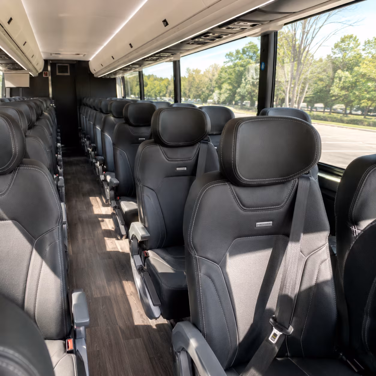 cross nepa together shuttle your congregation to the saint ann s novena